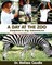 A Day at the Zoo