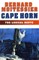 Cape Horn: The Logical Route