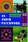 An Amish Patchwork