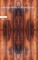 Collected Works of Samuel Butler