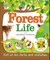 Forest Life and Woodland Creatures
