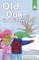 Old Oak in Winter