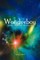 Wonderboy and the Black Hole of Nixvy Veck