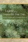 Legend of the Impossible Pine Tree
