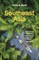 Lonely Planet Southeast Asia 20
