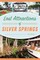 Lost Attractions of Silver Springs