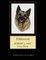 Elkhound