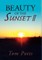 Beauty of the Sunset II