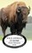 Wild Animals at Home