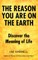 The Reason You are on the Earth