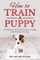 How to Train a Puppy
