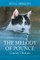 The Melody of Pounce