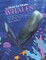 How to Draw Whales Step-by-Step Guide