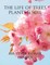 The life of trees plants & soil