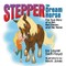 Stepper the Dream Horse