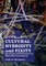 Cultural Hybridity and Fixity