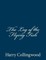 The Log of the Flying Fish
