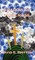 Shadow of the Cross