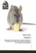 Rodents