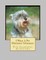 I Want A Pet Miniature Schnauzer
