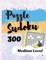 300 Sudoku Puzzle