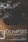 Glimpses