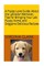 A Puppy Love Guide