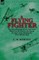 A Flying Fighter
