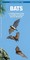 Bats