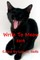 Write To Meow