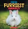 Furriest Animals (Wild World: Top 10)
