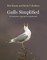 Gulls Simplified