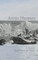 Arctic Hunters