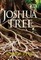 Joshua Tree