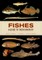 Fishes: A Guide to Their Diversity