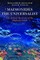 Maimonides the Universalist