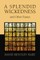 Splendid Wickedness and Other Essays