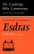 The First and Second Books of Esdras