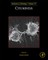 Cytokinesis
