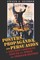Posters, Propaganda, and Persuasion in Election Campaigns Around the World and Through History