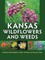 Kansas Wildflowers and Weeds