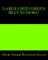 Large Grid Green Belt Sudoku
