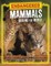 Endangered Mammals Around the World