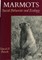 Marmots