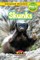 Skunks