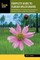 Complete Guide to Florida Wildflowers
