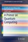 A Primer on Quantum Computing