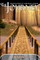 The Journey, The Evolution of a Financial Advisor