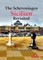 The Scheveningen Sicilian Revisited