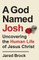 A God Named Josh